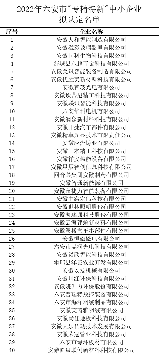 六安市專精特新中小企業(yè)認定名單