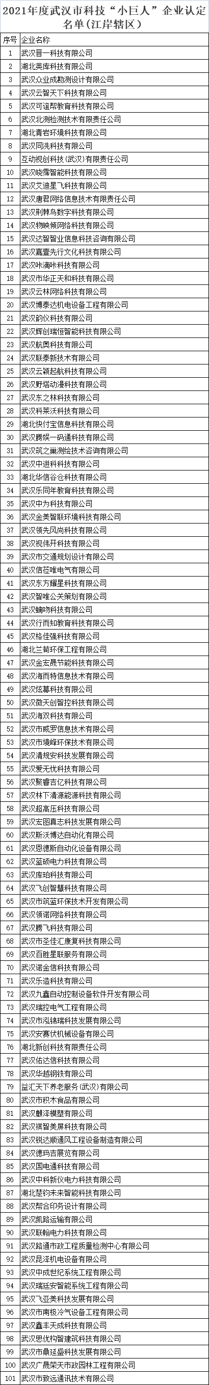 武漢市科技小巨人企業(yè)