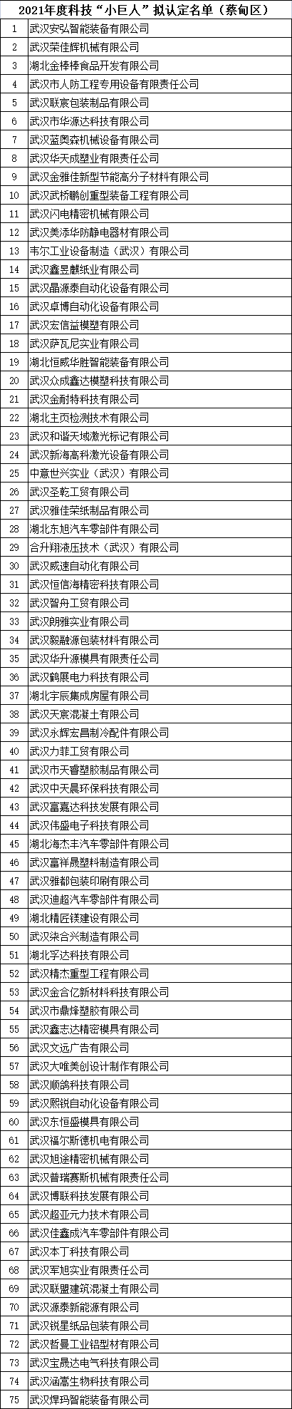 武漢市科技小巨人企業(yè)名單