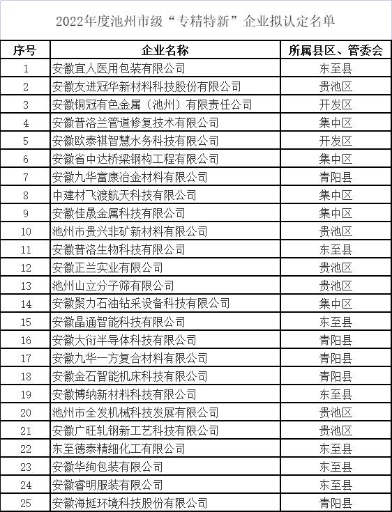 池州市專精特新中小企業(yè)名單